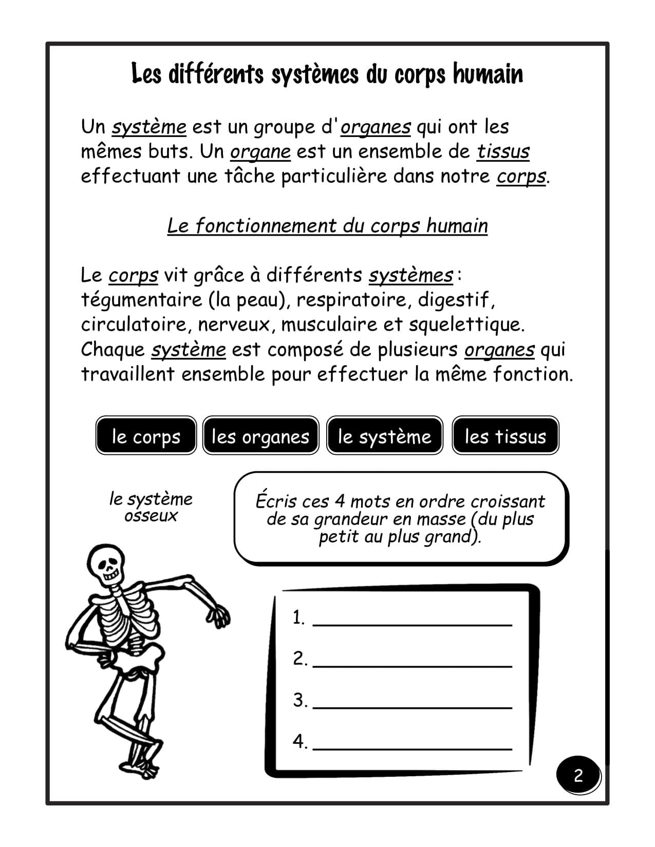 5e année - Le corps humain - "HYBRIDE" – Image 2