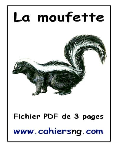 La moufette (5e/6e) - PDF