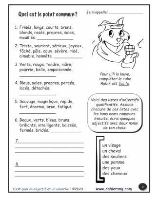 C'est quoi un adjectif et un adverbe ? (5e/6e) - Point commun