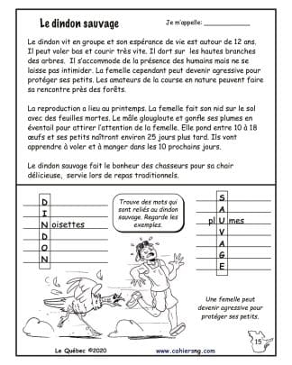 Le Québec (5e/6e) - Le dindon sauvage