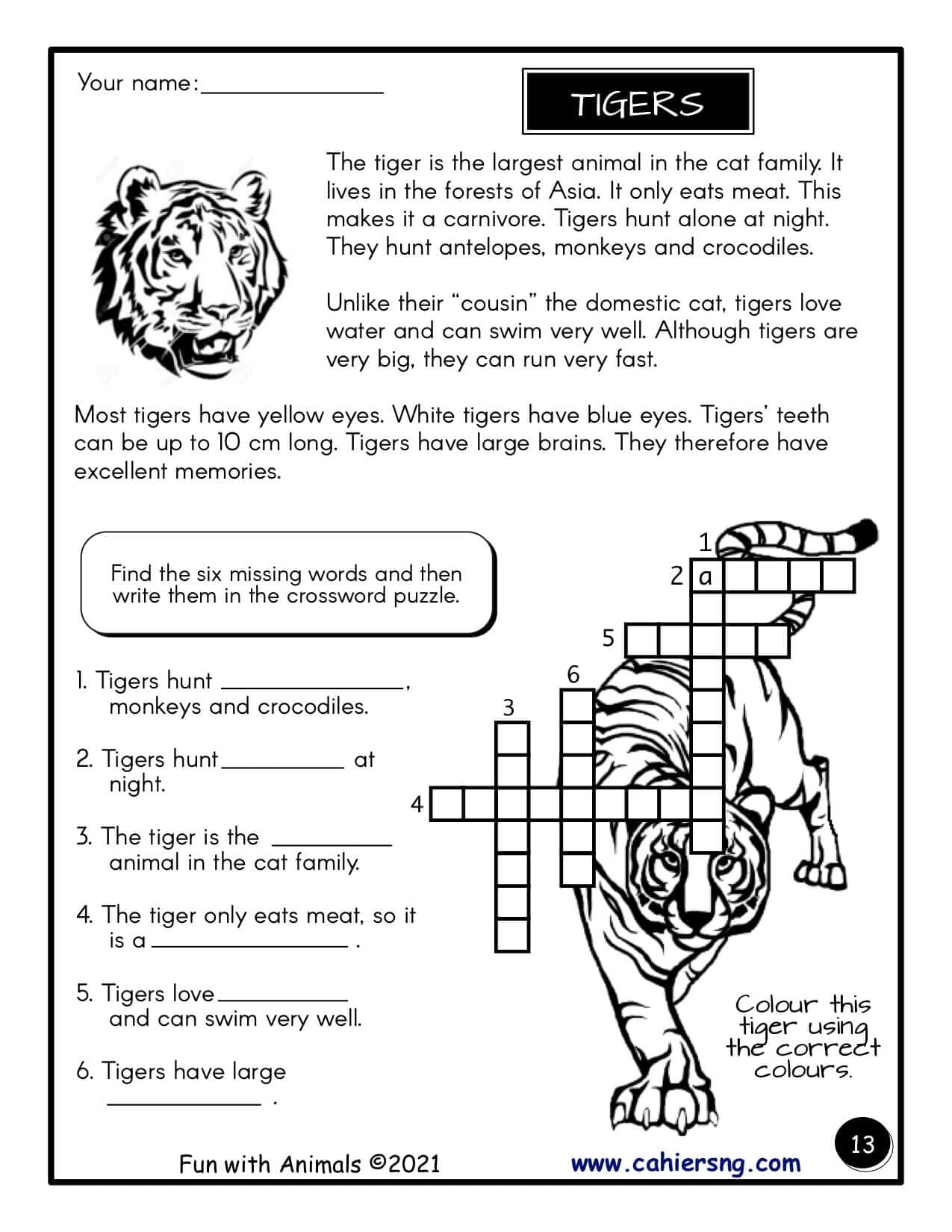 Fun with Animals - PDF - (Grades 2/3) – Image 3