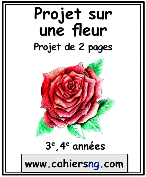 Projet sur une fleur - (3e/4e)