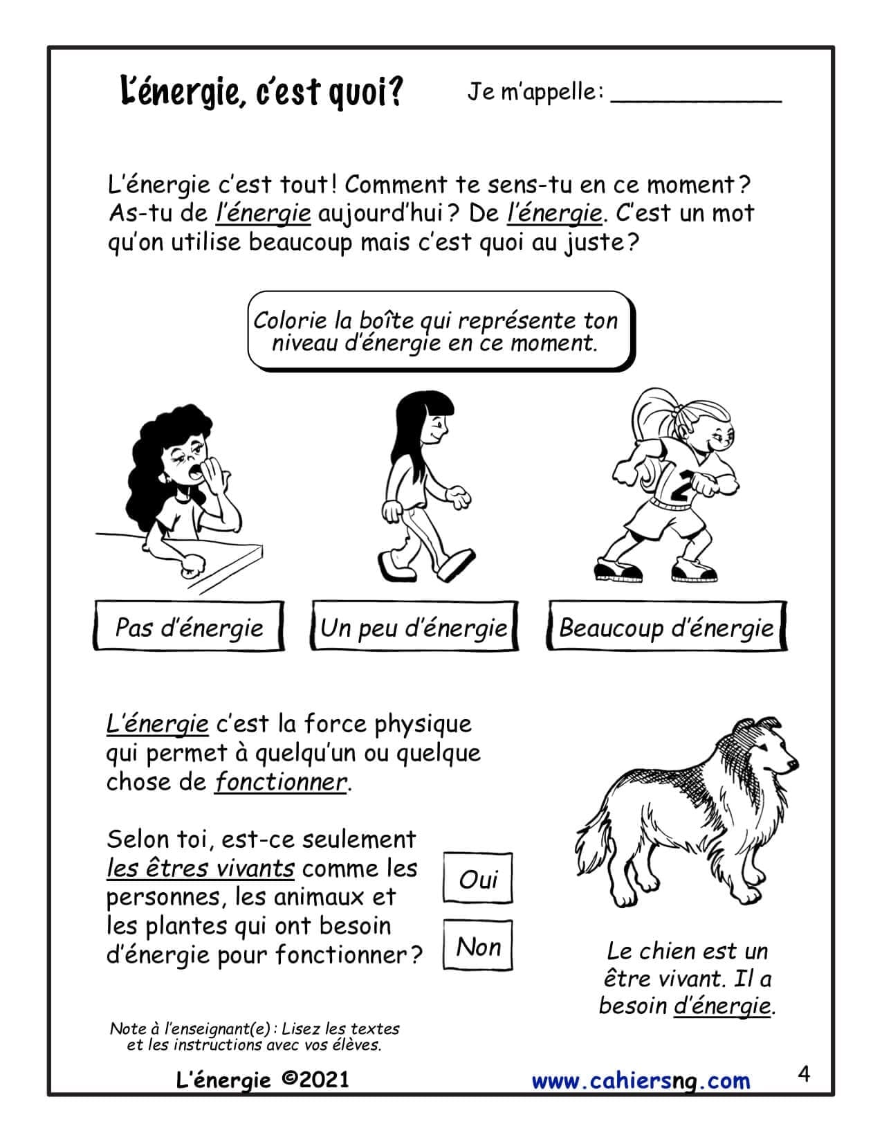 L'énergie (1re) - Nouvelle série ! – Image 3