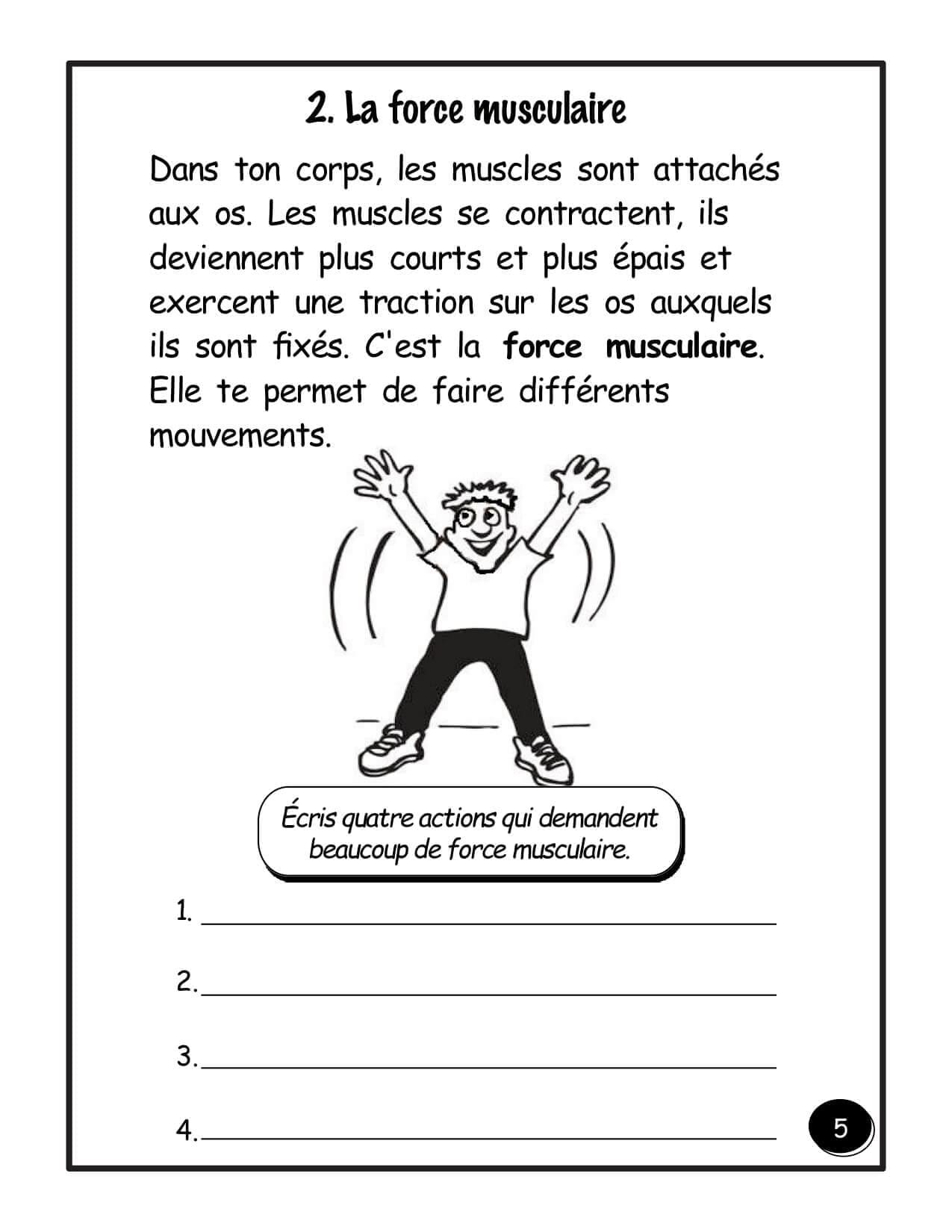 3e année - Les forces - "HYBRIDE" – Image 2