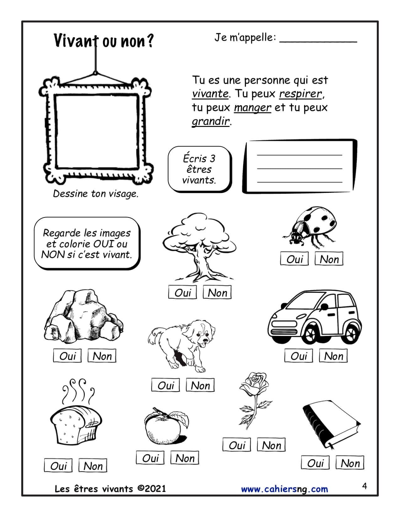 Les êtres vivants (1re) - Nouvelle série ! – Image 3