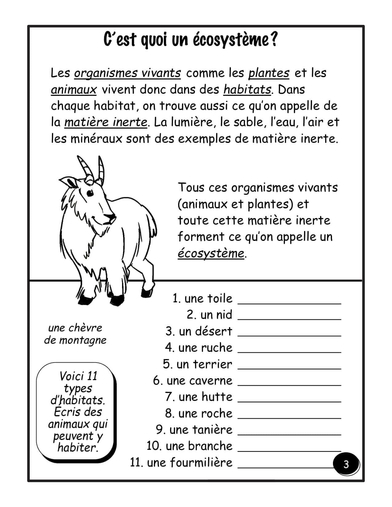 4e année - Les habitats - "HYBRIDE" – Image 2