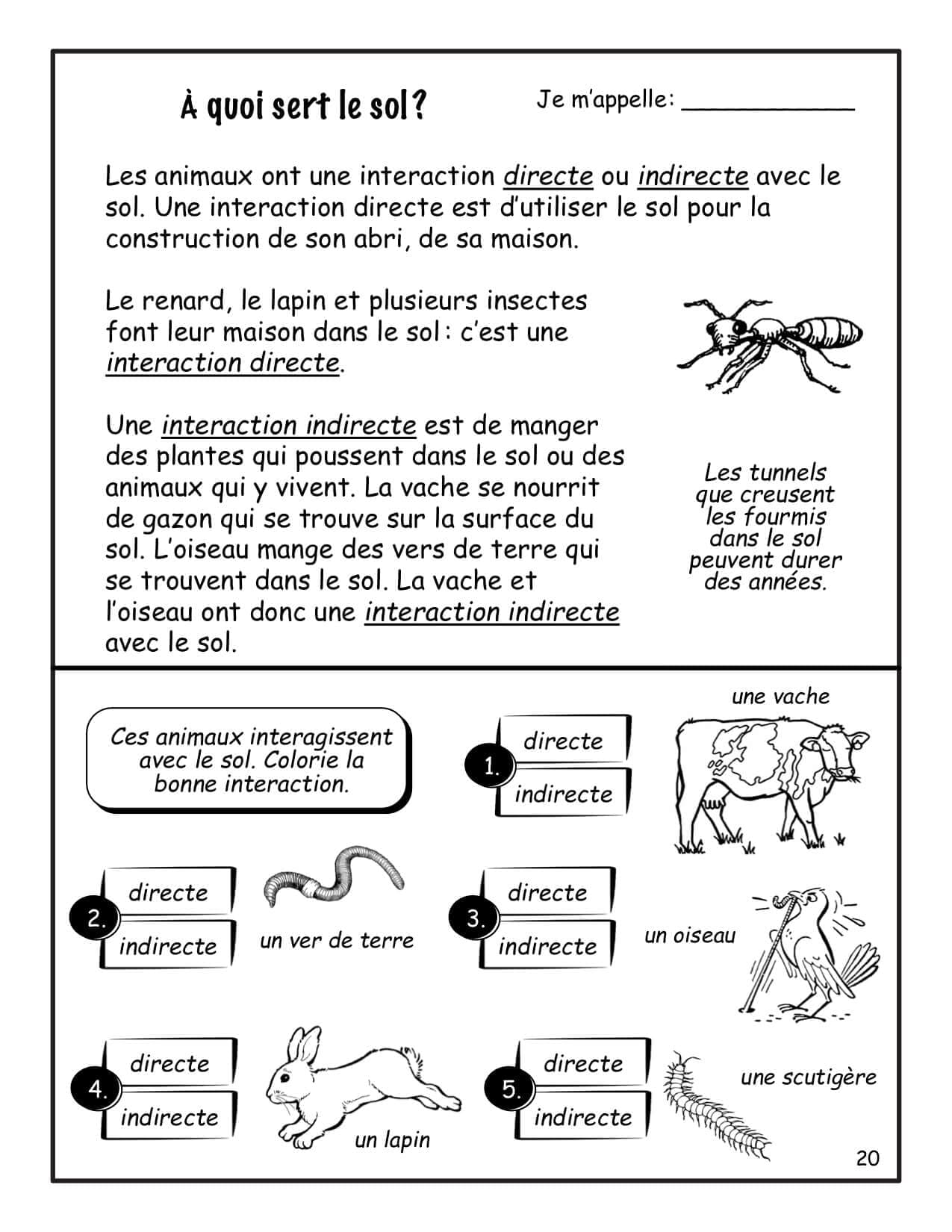Le sol (3e) - Nouvelle série ! – Image 3