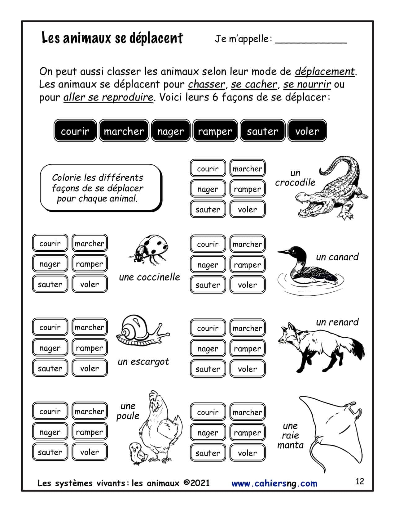 Les animaux (2e) - Nouvelle série ! – Image 3