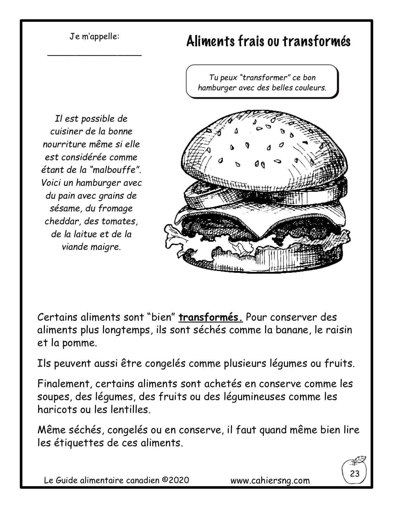 Le Guide alimentaire canadien (2e/3e) - PDF – Image 4