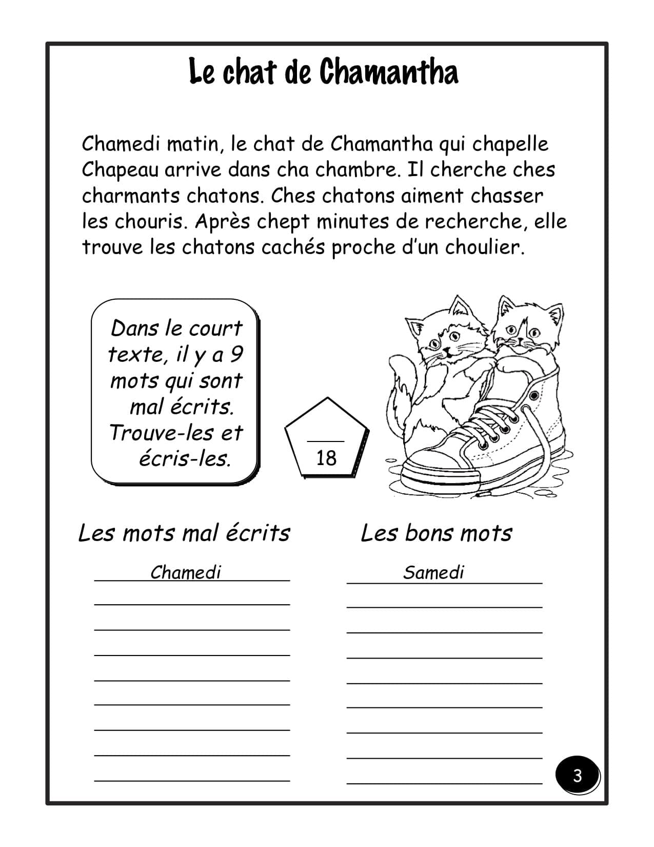 2e année - Systèmes vivants : les animaux - "HYBRIDE" – Image 3