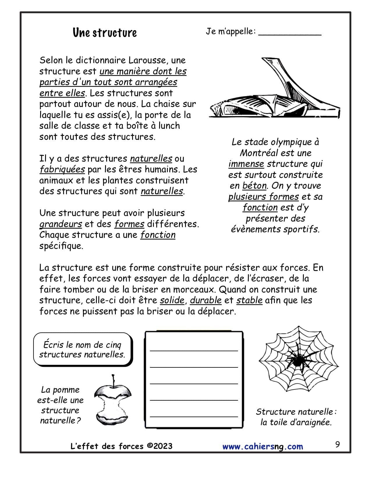 L'effet des forces (5e) - Nouvelle série ! NOUVEAUTÉ ! – Image 3