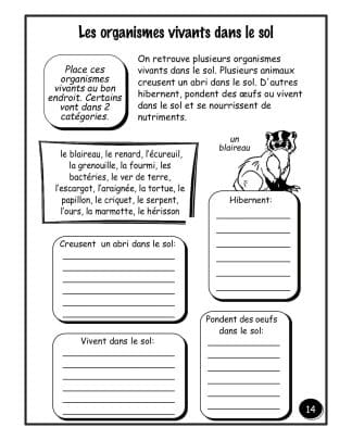Le sol – Hybride (3e/4e) - Organismes vivants