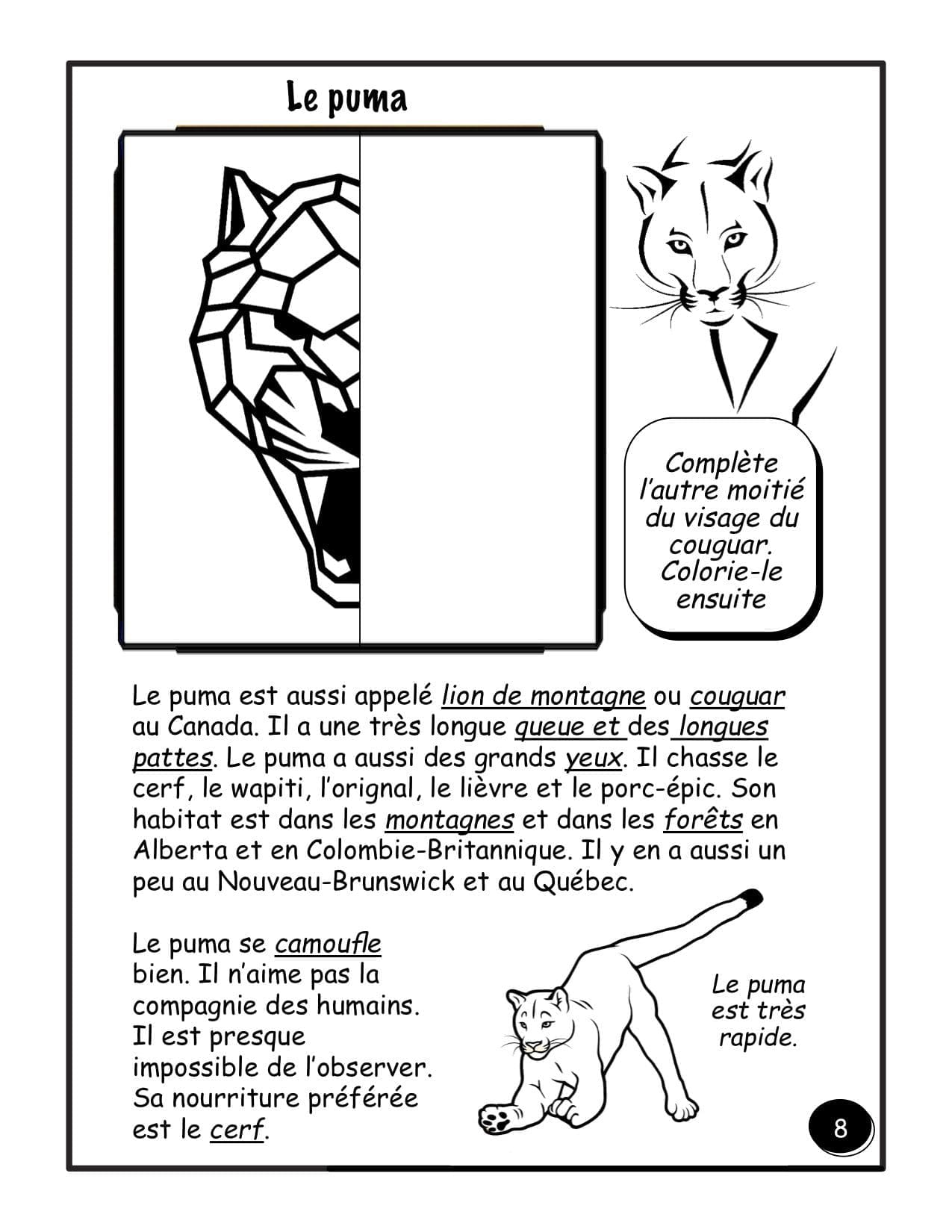 PDF - Les animaux du Canada (4e/5e) - HYBRIDE – Image 3