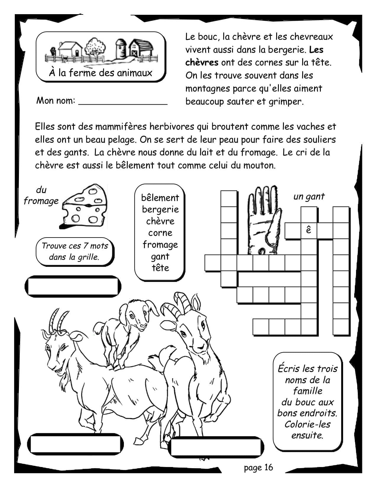 À la ferme des animaux - (3e année) – Image 4