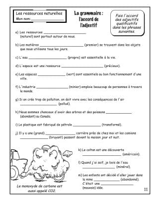 Les ressources naturelles (7e) - Les adjectifs