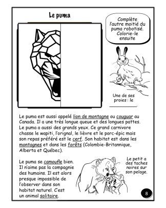 Les animaux du Canada (4e/5e) - Le puma