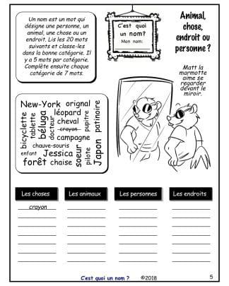 C'est quoi un nom ? (5e/6e) - Classez les noms !