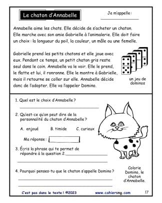 C'est pas dans le texte (3e/4e - Inférences) - Le chaton