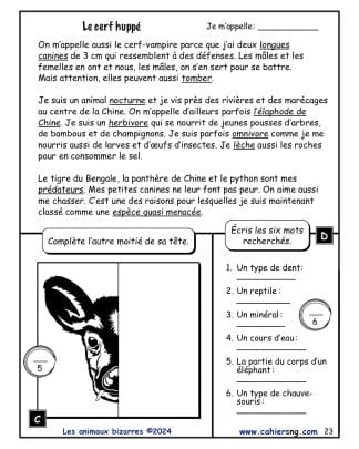 Les animaux bizarres (5e/6e années) - Le cerf huppé#2