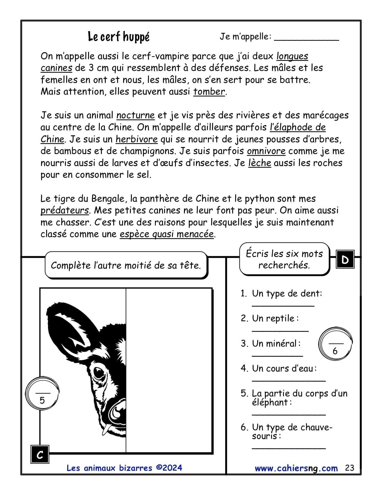 Les animaux bizarres- 5e/6e années - NOUVEAUTÉ ! – Image 4