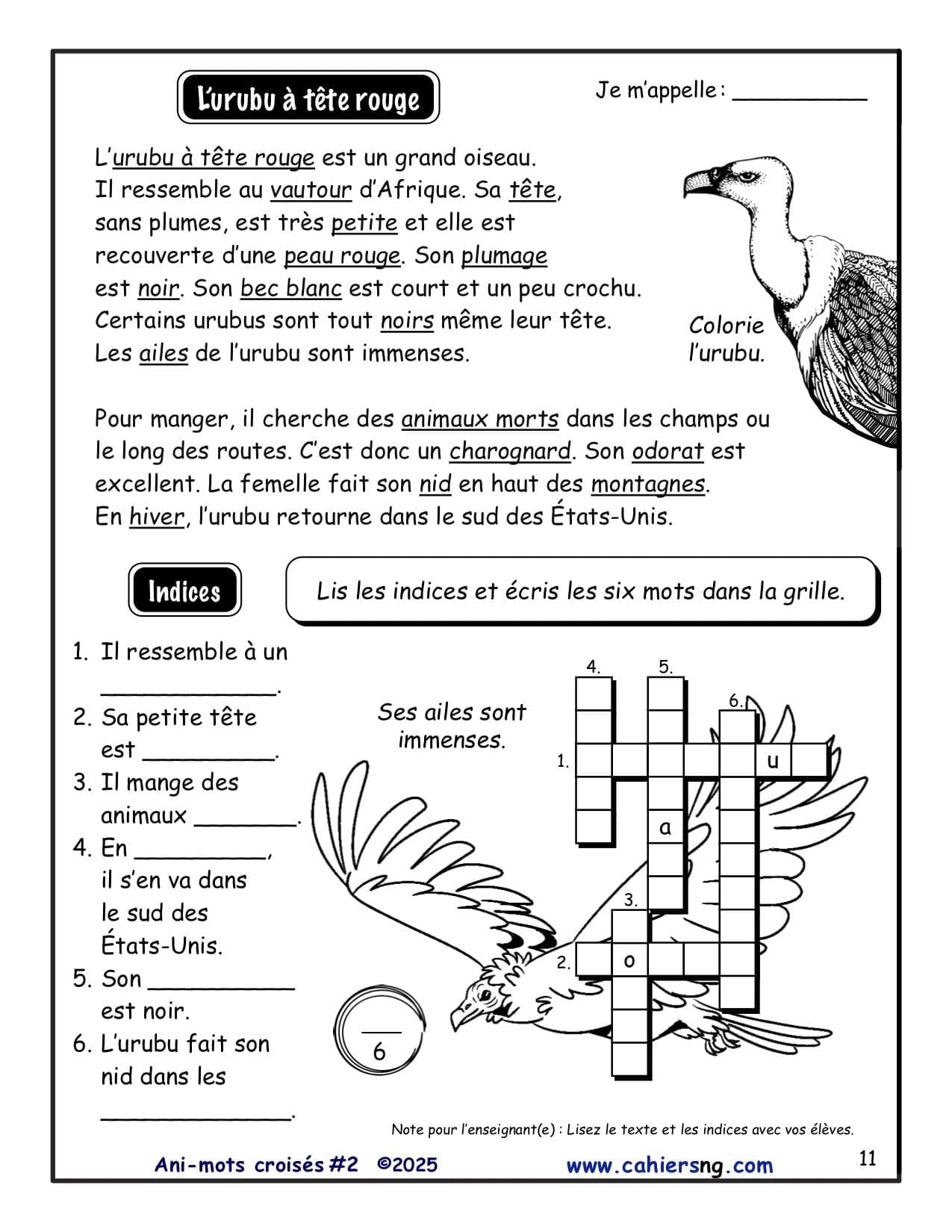 Ani-mots croisés - Volume #2 - 3e/4e années - NOUVEAUTÉ !! – Image 4