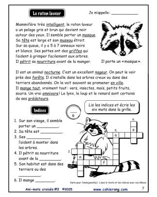 Ani-mots croisés #2 - Le raton laveur