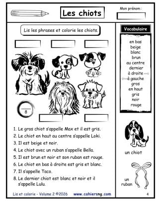 Lis et colorie ! - Volume 2 - Les chiots