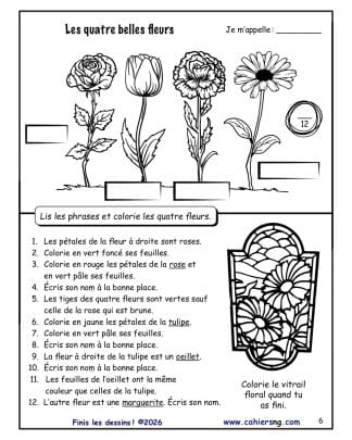 Finis les dessins ! 3e année - Les fleurs